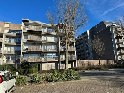 Nieuwveld in Helmond (124m2)