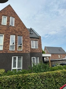 Timmerhout in Arnhem (152m2)