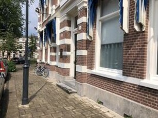 Benedenwoning te huur in Haarlem