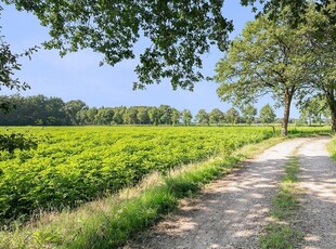 Ommen - Stationsweg