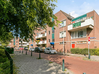 Falckstraat 173