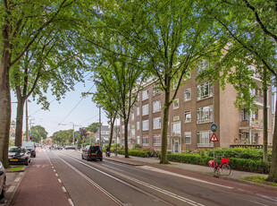 Goudenregenstraat 305