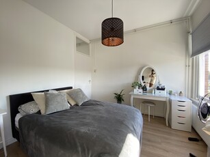 Woning te huur Soestdijksekade, Den Haag