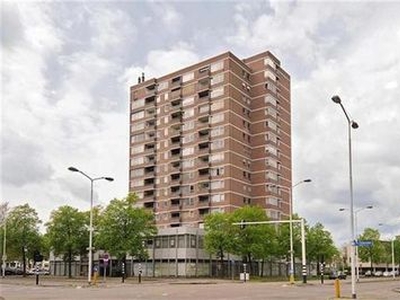 de Greide in Eindhoven (65m2)