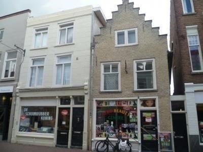 Haagdijk in Breda (21m2)