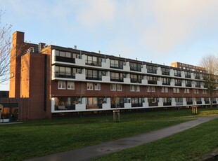 Appartement in Hengelo met 3 kamers