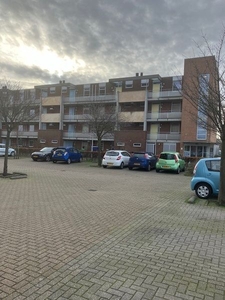 Weideland in Den Hoorn (57m2)