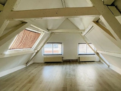 Appartement te huur Snellestraat, Den Bosch