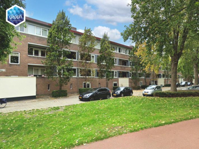 Kamer in Hoorn met 3 kamers