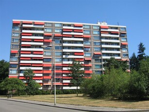 Appartement in Arnhem met 3 kamers