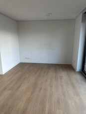 Appartement te huur Singravenlaan, Arnhem