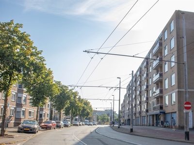 Ir J.P. van Muijlwijkstraat 292