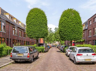 Gerbrand Adriaanszoon Brederodestraat 3