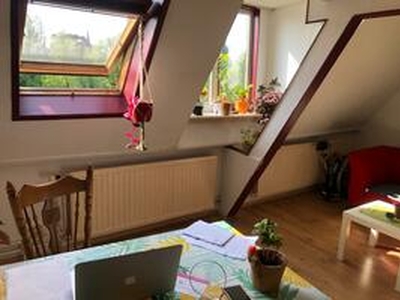 Appartement te huur in Leiden