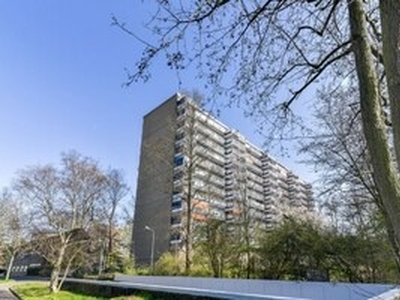 Appartement te huur in Delft