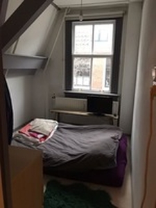 Appartement te huur in Haarlem