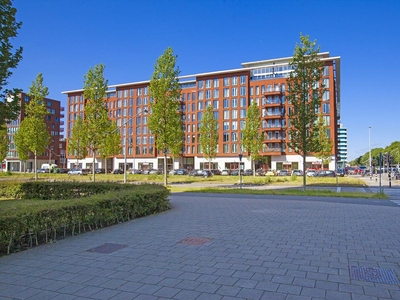 Ookmeerweg in Amsterdam (81m2)