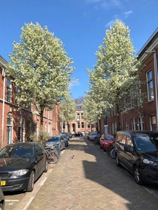 Van Diemenstraat in Utrecht (50m2)