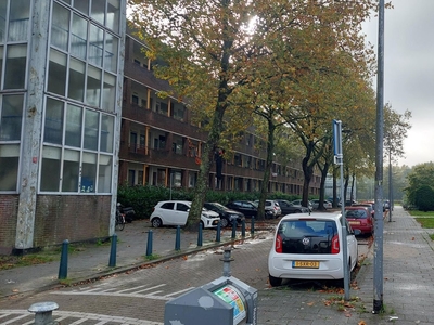 Hontenissestraat in Rotterdam (70m2)