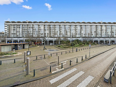 Palaceplein 131