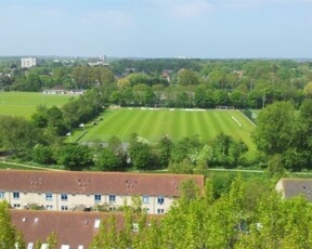 Schotlandstraat