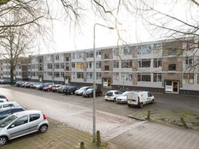 Apartment te huur in Arnhem