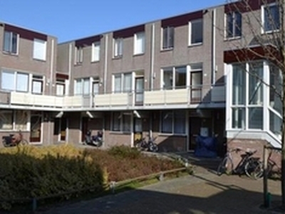 Appartement te huur in Den Haag