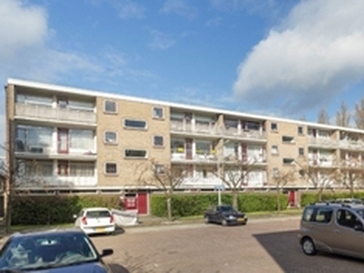 Appartement te huur in Leiden