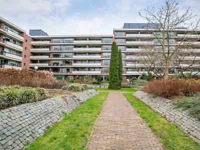 Loseweg 217