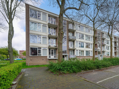 Wilbertoord 297