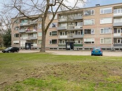 Appartement te huur in Tilburg