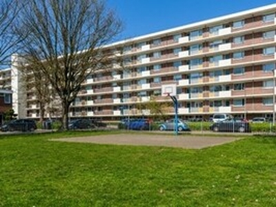 Appartement te huur in Tilburg