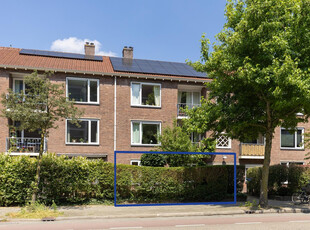 Ahornstraat 18