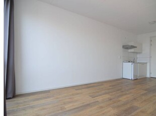 Huur 1 slaapkamer appartement van 22 m² in Breda