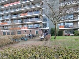 Appartement te huur in Arnhem