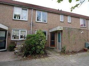 Eengezinswoning, tussenwoning te huur in Almere