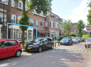 Tulpstraat 154