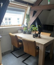 Kamer te huur Annastraat, Utrecht