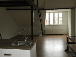 Studio te huur Rosendaalsestraat, Arnhem