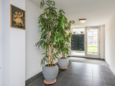 Appartement Drapiersgilde in Amersfoort