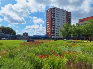 Appartement in Heerenveen met 3 kamers