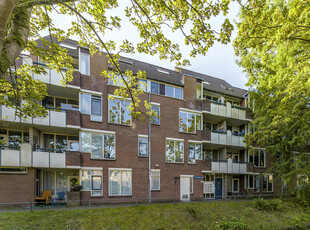 Jacob Obrechtstraat 51