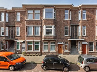 Velpsestraat 219, 's