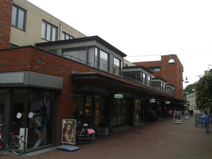 Appartement in Zwolle met 4 kamers