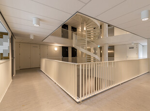 Studio in Leiden