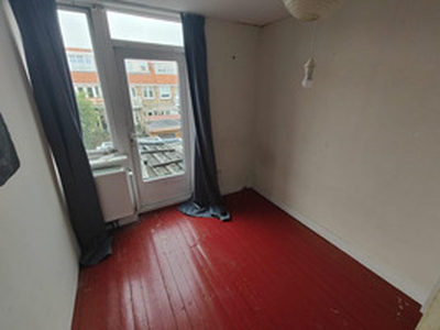 Apartment te huur in Haarlem