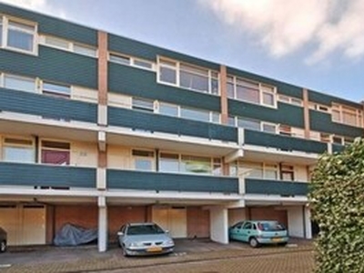 Appartement te huur in Alkmaar