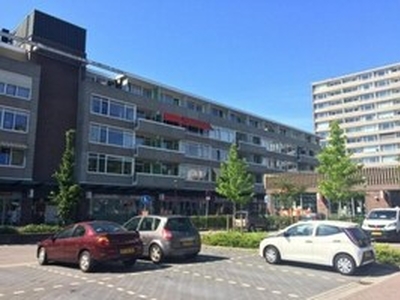 Appartement te huur in Alkmaar