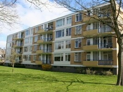 Appartement te huur in Alkmaar