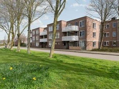 Appartement te huur in Alkmaar